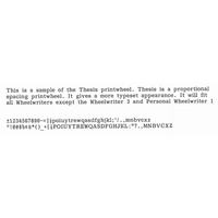 Genuine IBM Thesis Printwheel