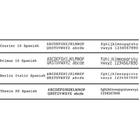 Rarotype Compatible Nakajima/Swintec Spanish 4 Pack Printwheel Bundle